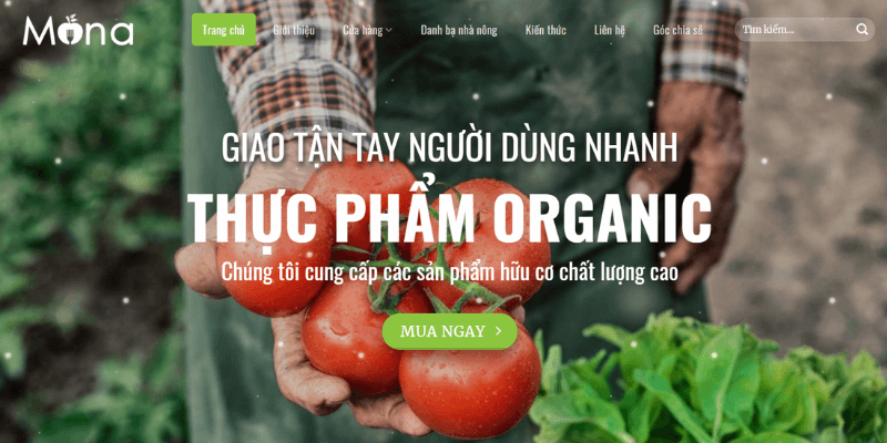 theme wordpress bán hàng thực phẩm organic