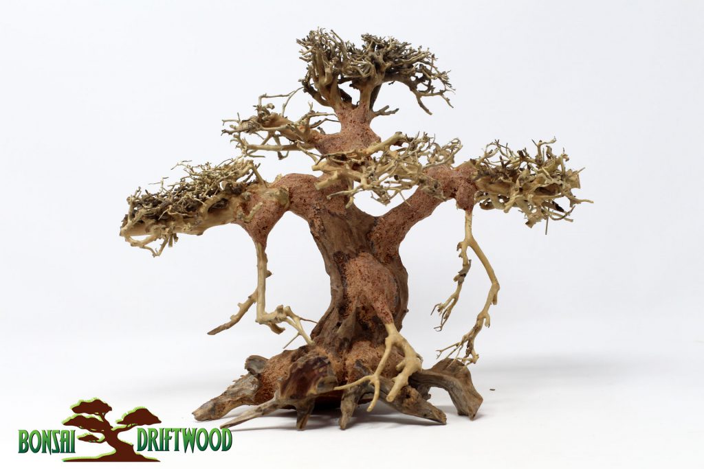 Một tuyệt tác được tạo ra bởi cửa hiệu Bonsai Driftwood tại Hereford Texas Hoa Kỳ
