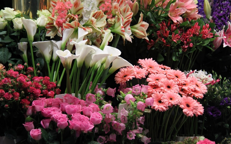 cửa hàng hoa tươi Shmily Flowers