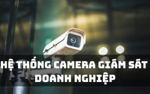 hệ thống camera giám sát doanh nghiệp